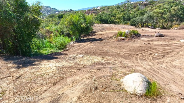 MLS #SW25200007 image #3