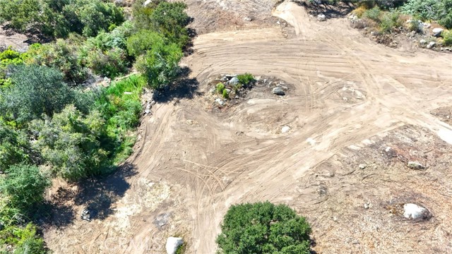MLS #SW25200007 image #4