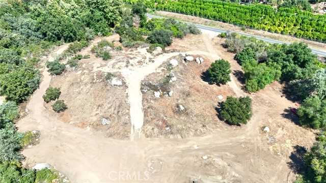 MLS #SW25200007 image #5