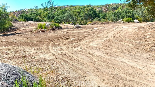 MLS #SW25200007 image #6
