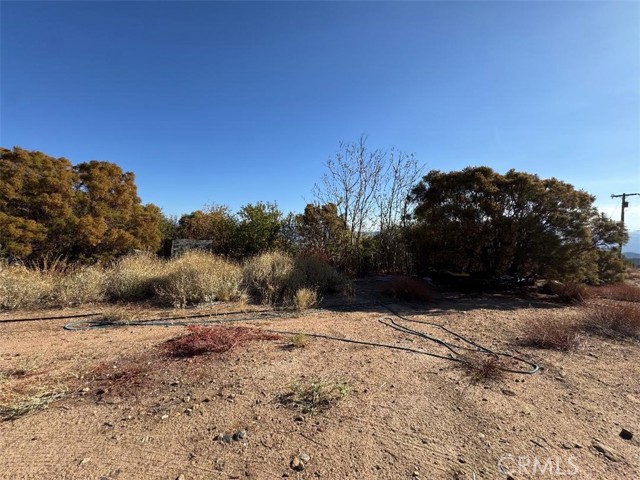 MLS #SW25200055 image #10