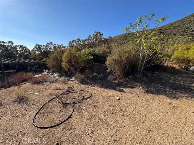 MLS #SW25200055 image #12
