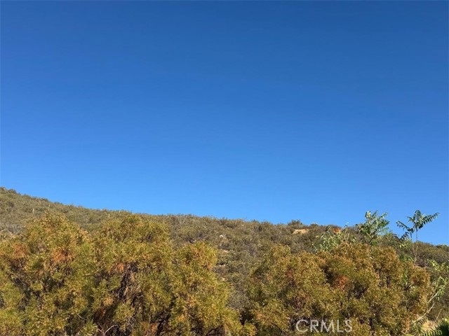 MLS #SW25200055 image #5