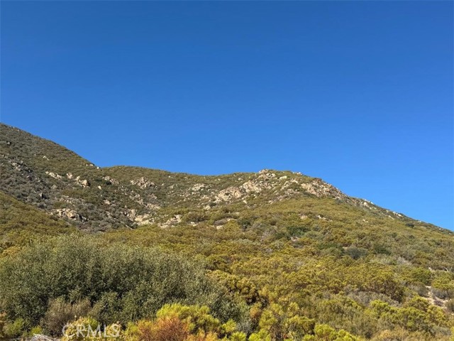 MLS #SW25200055 image #6