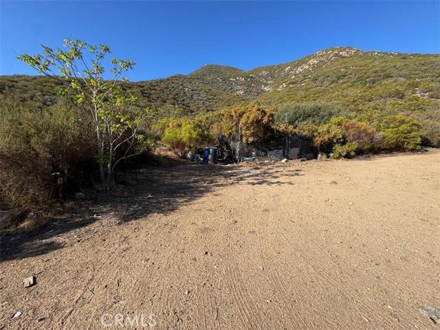 MLS #SW25200055 image #8