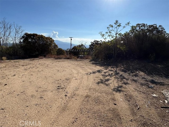 MLS #SW25200055 image #9