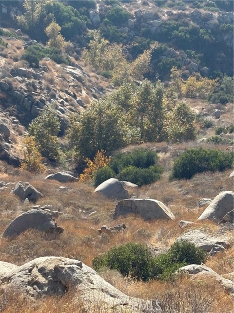 MLS #SW25200057 image #2