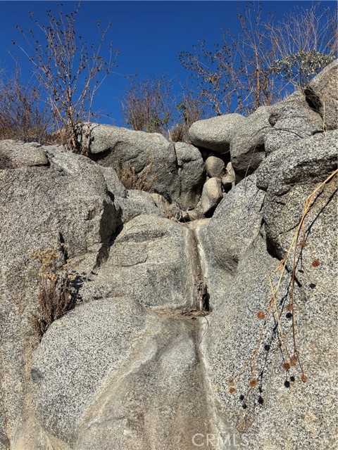 MLS #SW25200057 image #4