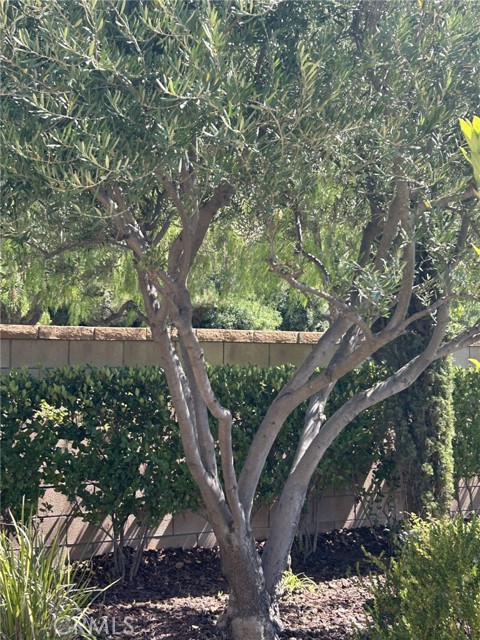 MLS #SW25200517 image #55
