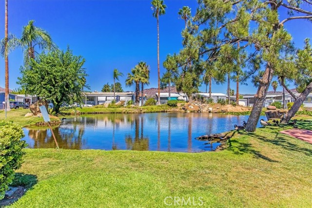 MLS #SW25200788 image #36