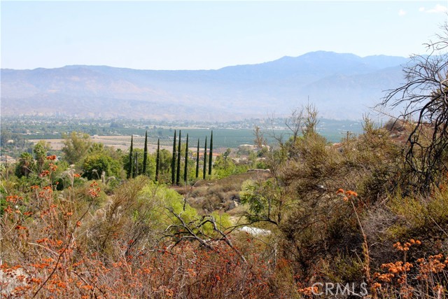 MLS #SW25201030 image #0