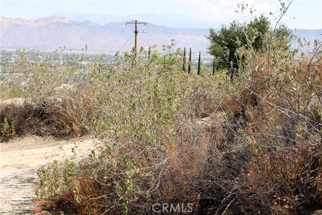 MLS #SW25201030 image #11