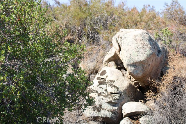 MLS #SW25201030 image #9