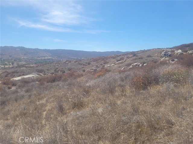 MLS #SW25201049 image #4