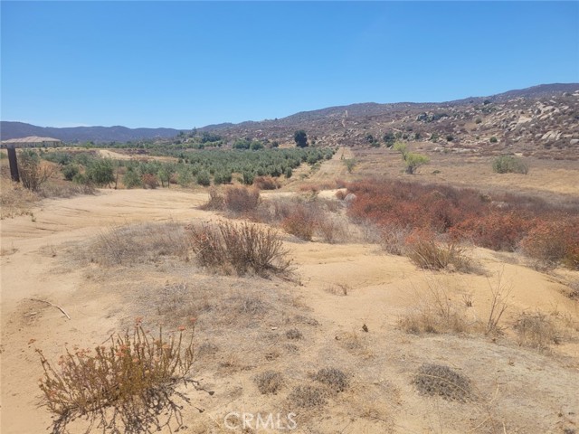 MLS #SW25201049 image #5