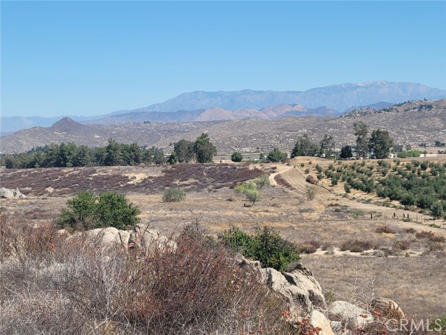 MLS #SW25201049 image #6