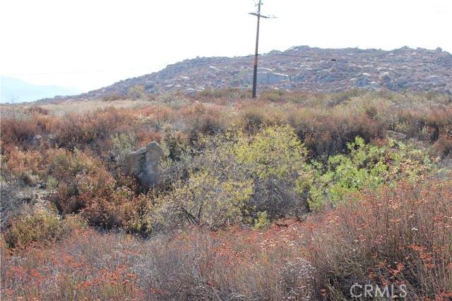 MLS #SW25201071 image #11