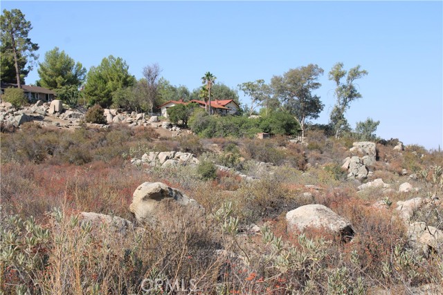 MLS #SW25201071 image #14