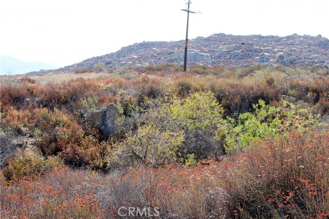 MLS #SW25201071 image #16