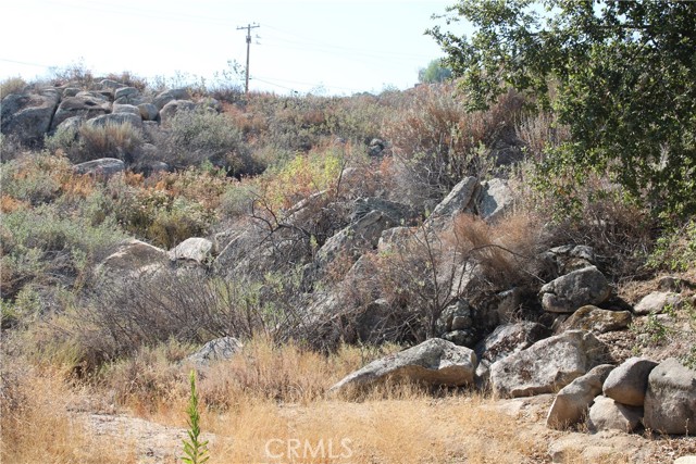 MLS #SW25201071 image #22