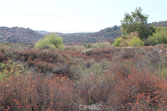 MLS #SW25201071 image #24