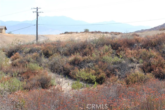 MLS #SW25201071 image #25