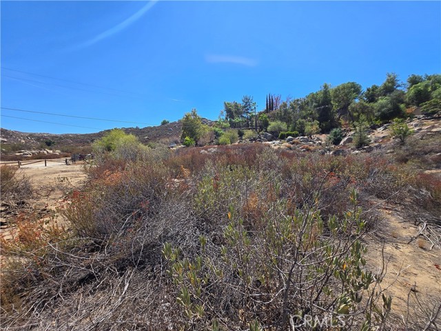 MLS #SW25201071 image #29