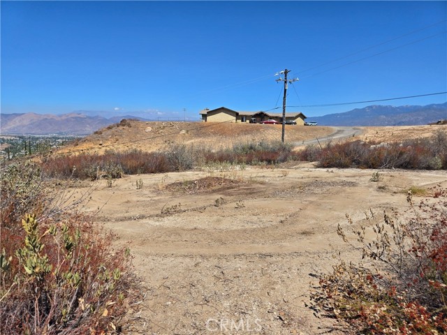 MLS #SW25201071 image #6