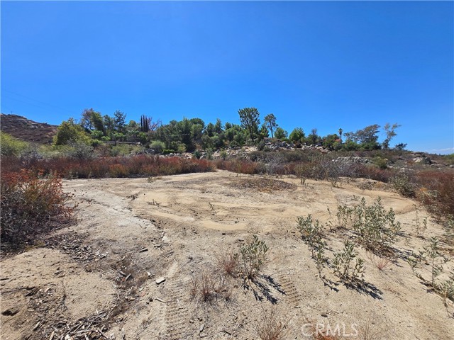MLS #SW25201071 image #8