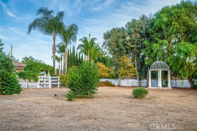 MLS #SW25203301 image #67