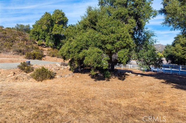 MLS #SW25207435 image #6