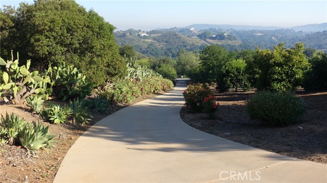 MLS #SW25208075 image #10