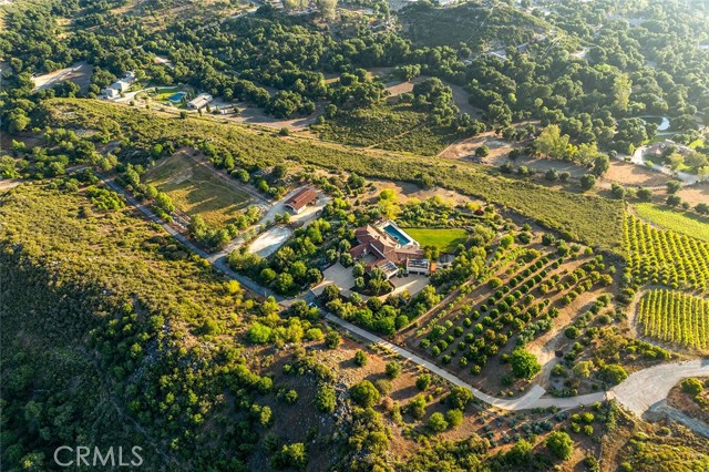 MLS #SW25208075 image #5