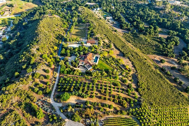 MLS #SW25208075 image #6