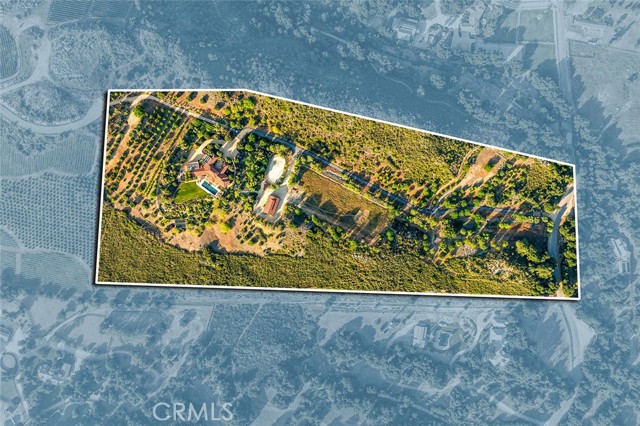 MLS #SW25208075 image #7