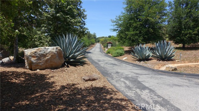 MLS #SW25208075 image #9