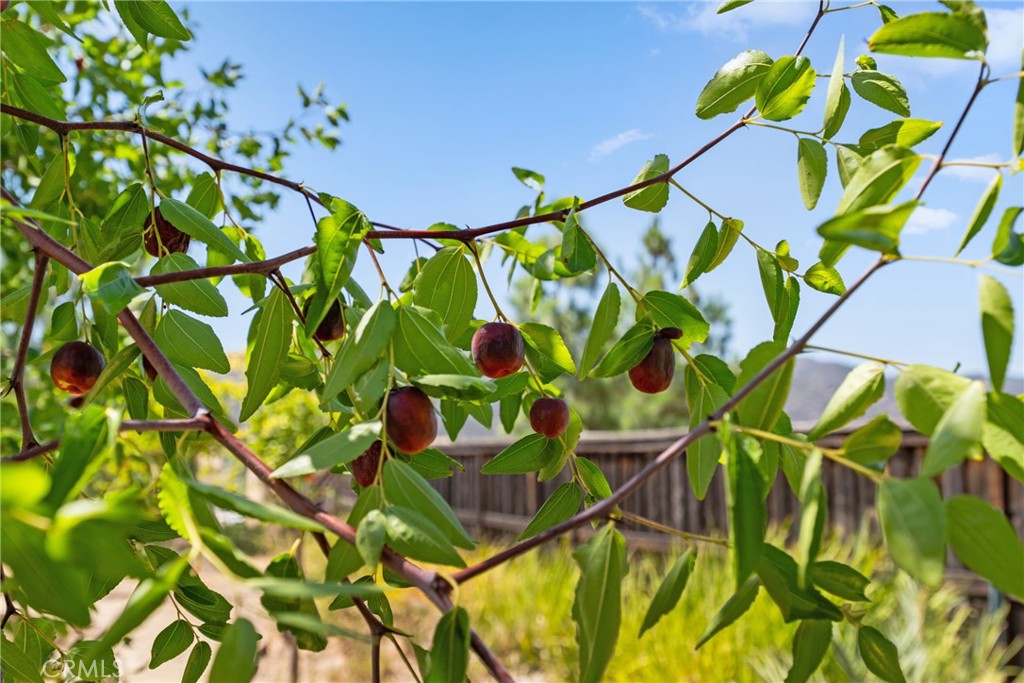 MLS #SW25214290 image #31