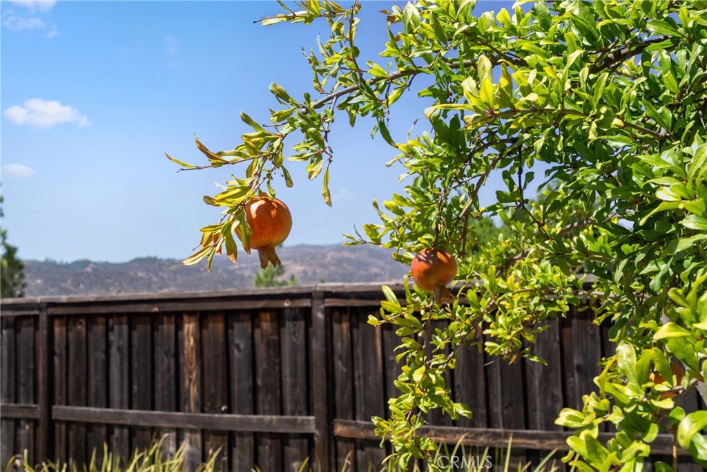 MLS #SW25214290 image #32