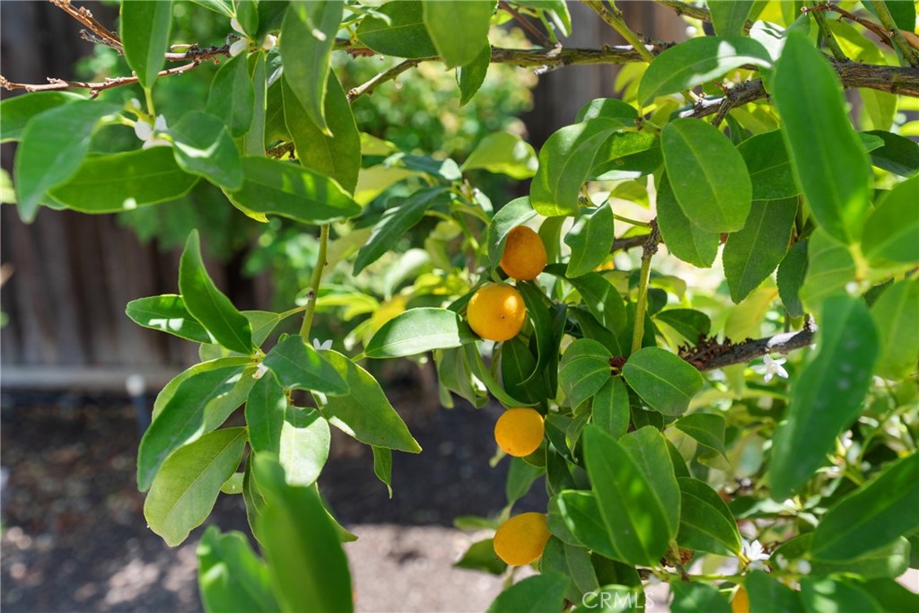 MLS #SW25214290 image #33