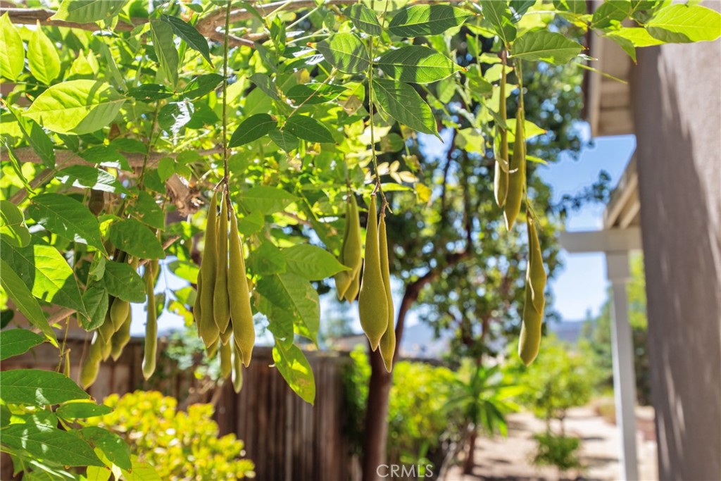 MLS #SW25214290 image #34