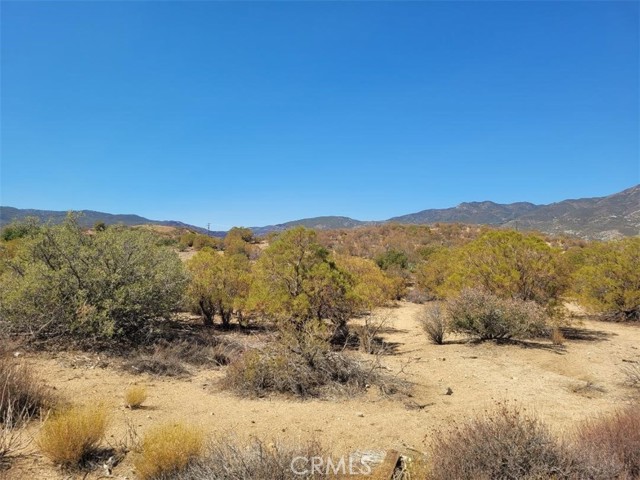 MLS #SW25215178 image #10