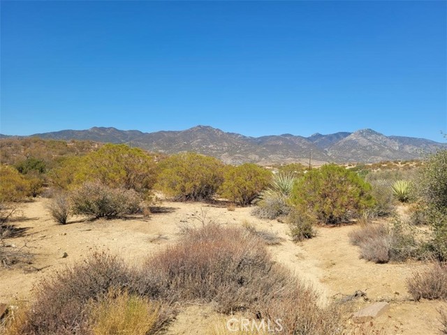 MLS #SW25215178 image #11