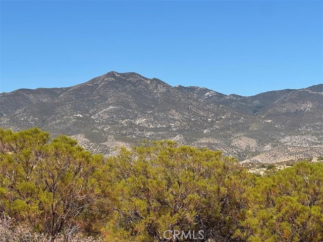 MLS #SW25215178 image #12