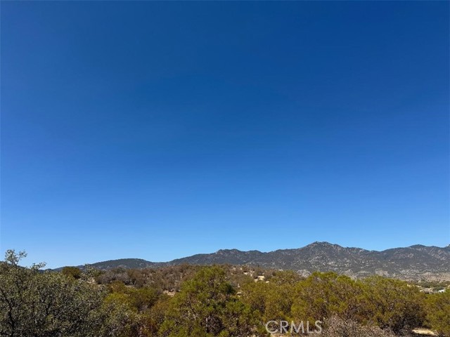 MLS #SW25215178 image #13