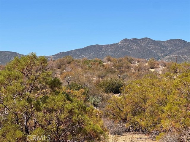 MLS #SW25215178 image #14