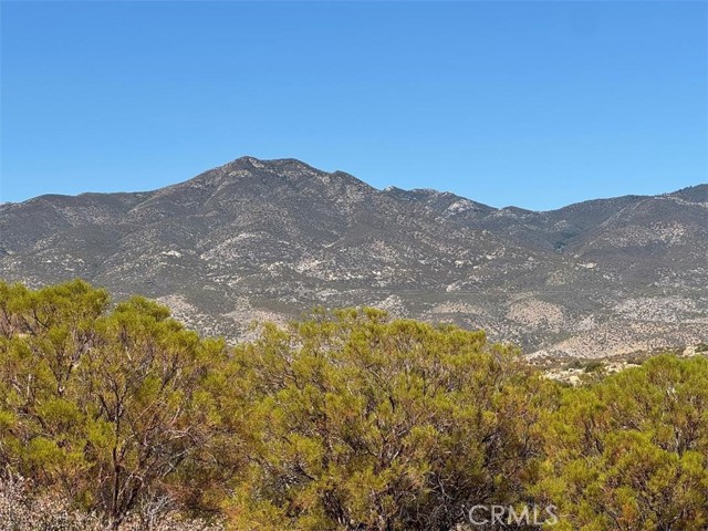 MLS #SW25215178 image #15