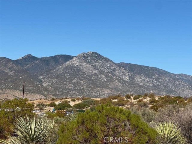 MLS #SW25215178 image #16