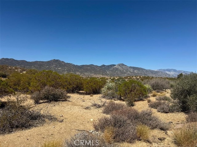 MLS #SW25215178 image #4