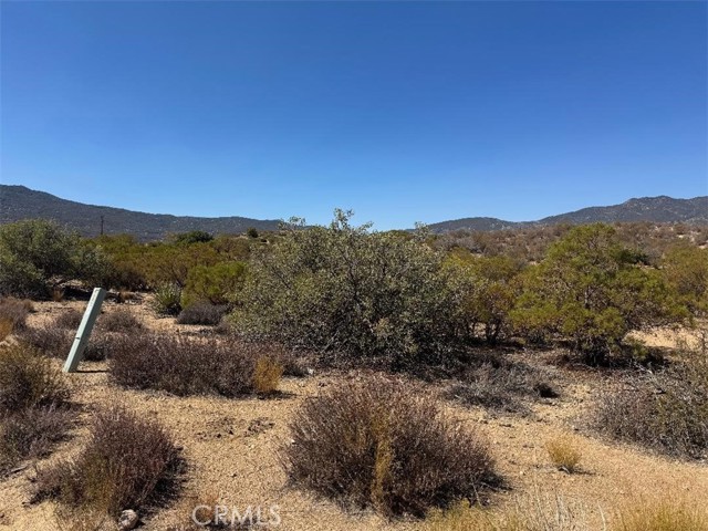 MLS #SW25215178 image #5