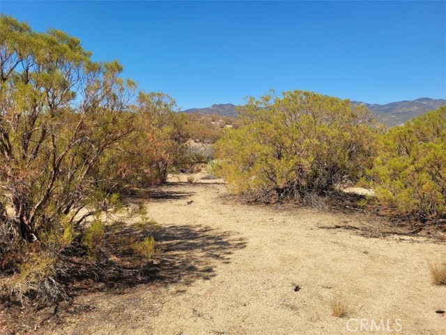 MLS #SW25215178 image #6